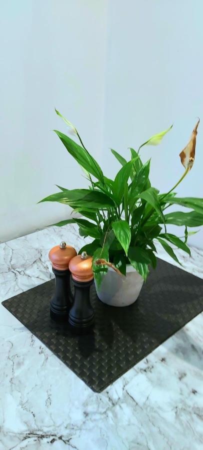 Great Studio Apartments - Netflix, Wifi, Digital Tv Sheffield Exterior photo
